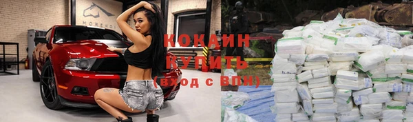 твердый Дмитровск