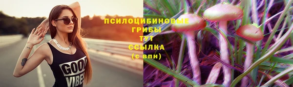 стафф Гусиноозёрск