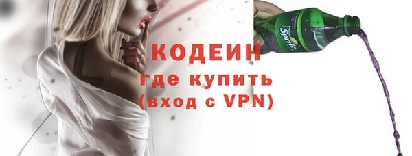 твердый Дмитровск