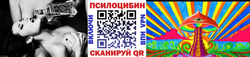 Псилоцибиновые грибы Cubensis  Торопец 